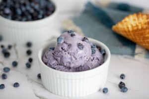 White bowl of blueberry ice cream with fresh blueberries from Maine Coast Creamery