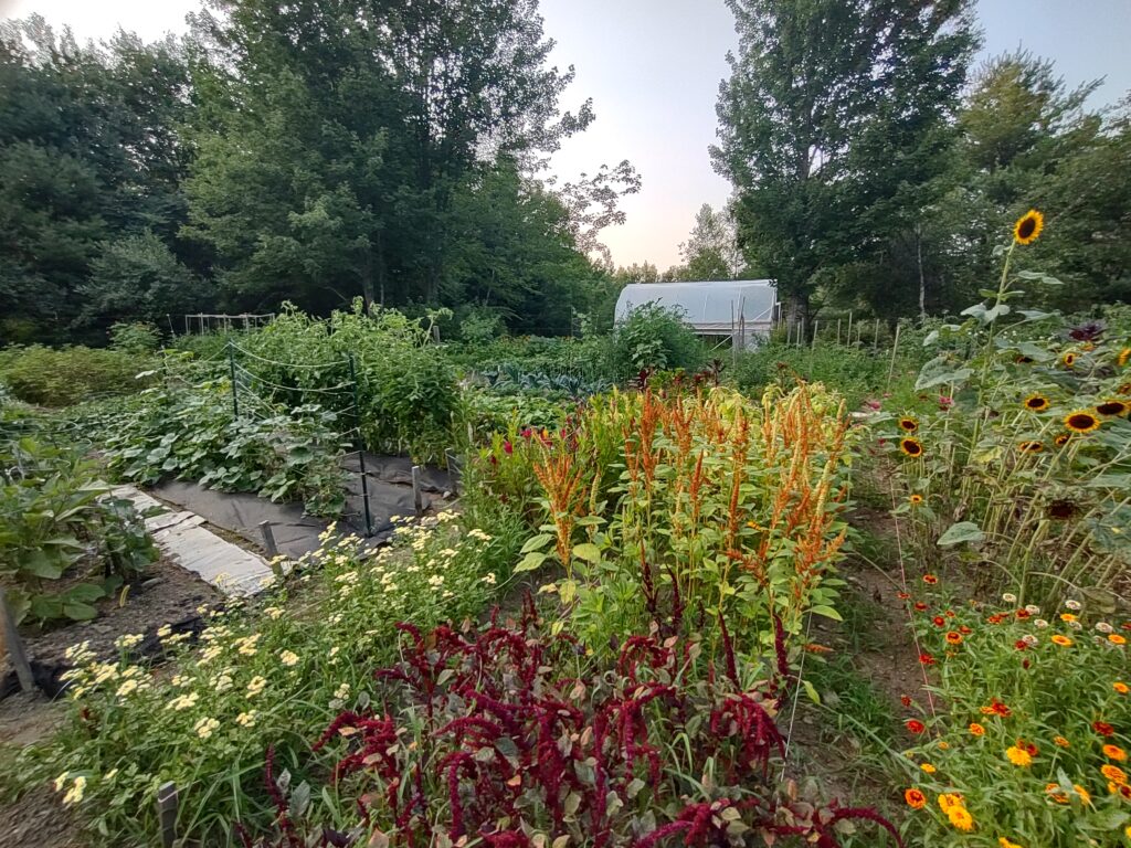 Ground Well Counseling Garden